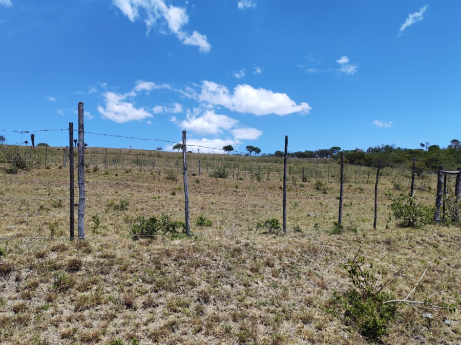Commercial Property for Sale in Komga Rural Eastern Cape